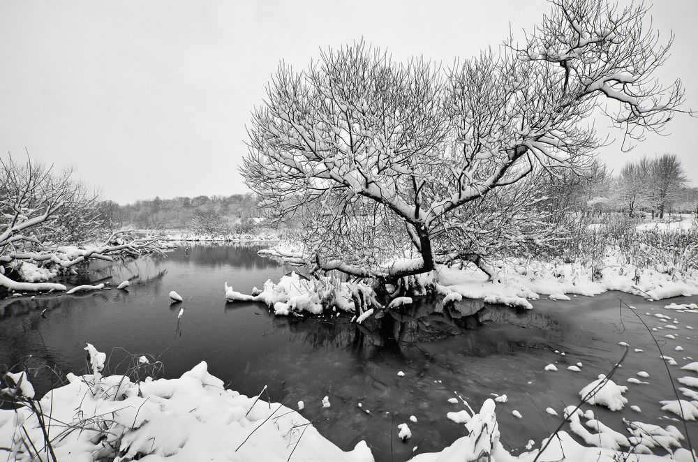 Фотография автора Антип