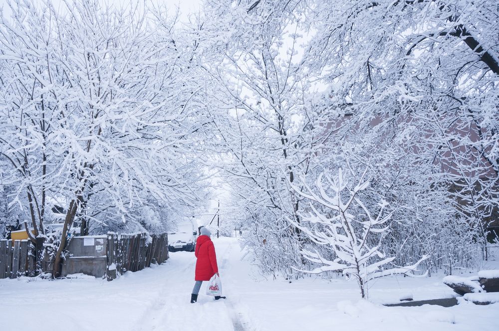 Photograph by Людмила Березнякова