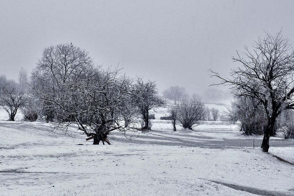 Фотография автора Dmitry