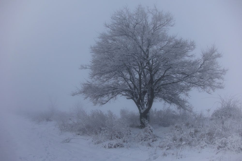 Photograph by Сергей Зуденко