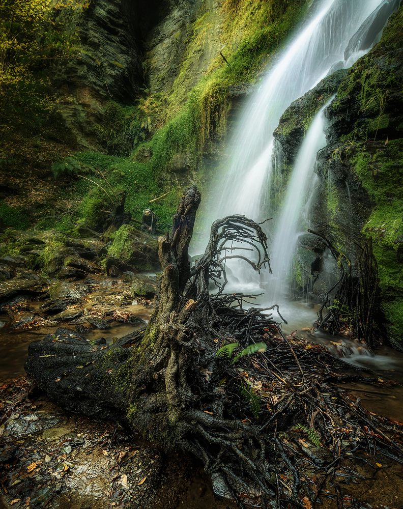 Photograph by Roberto SANMARTIN ALMEIDA