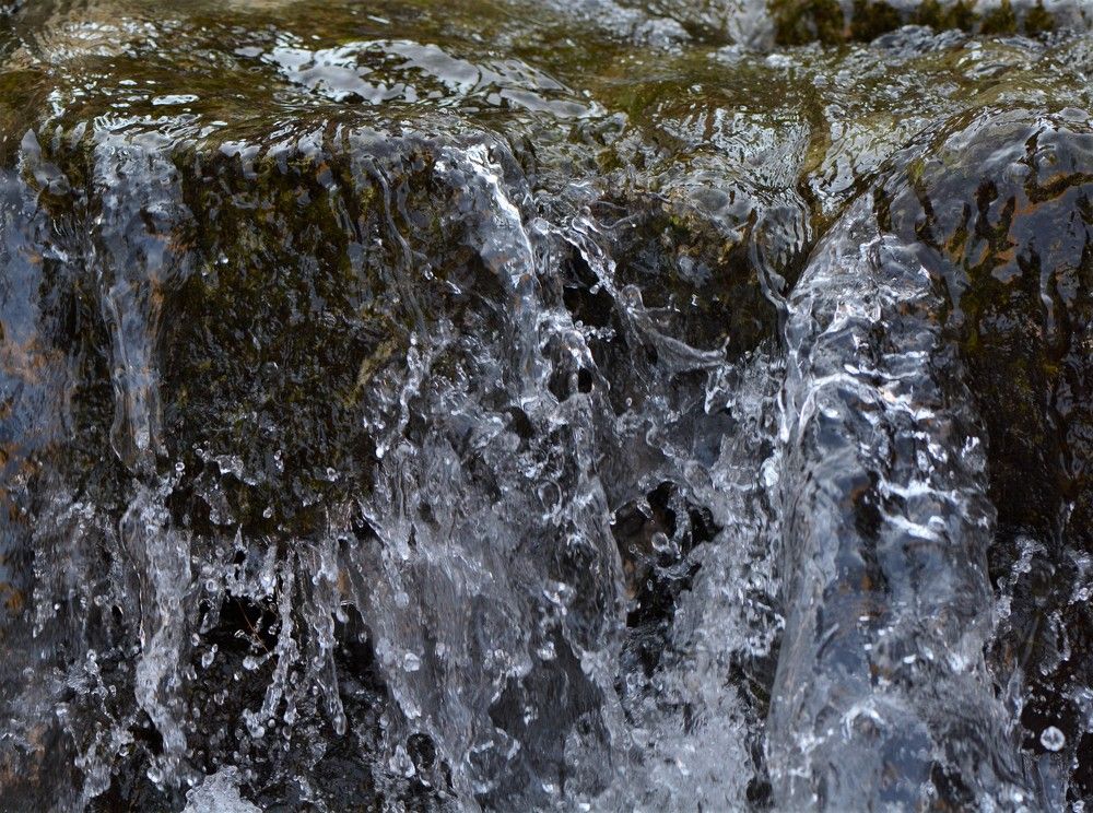 Фотография автора Ася Бабушкина