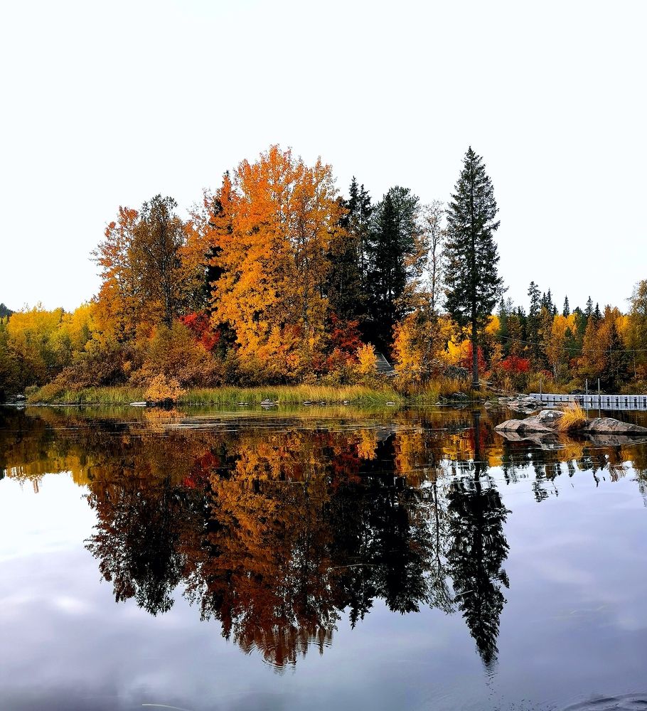 Photograph by Елена Артёменко