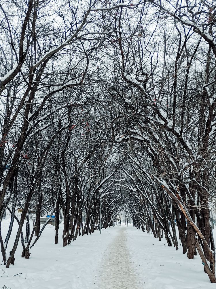 Photograph by Власова Ольга Николаевна