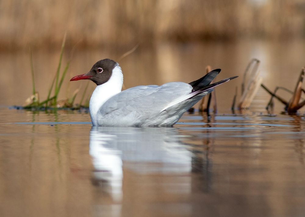 Photograph by Павел Краснослободцев