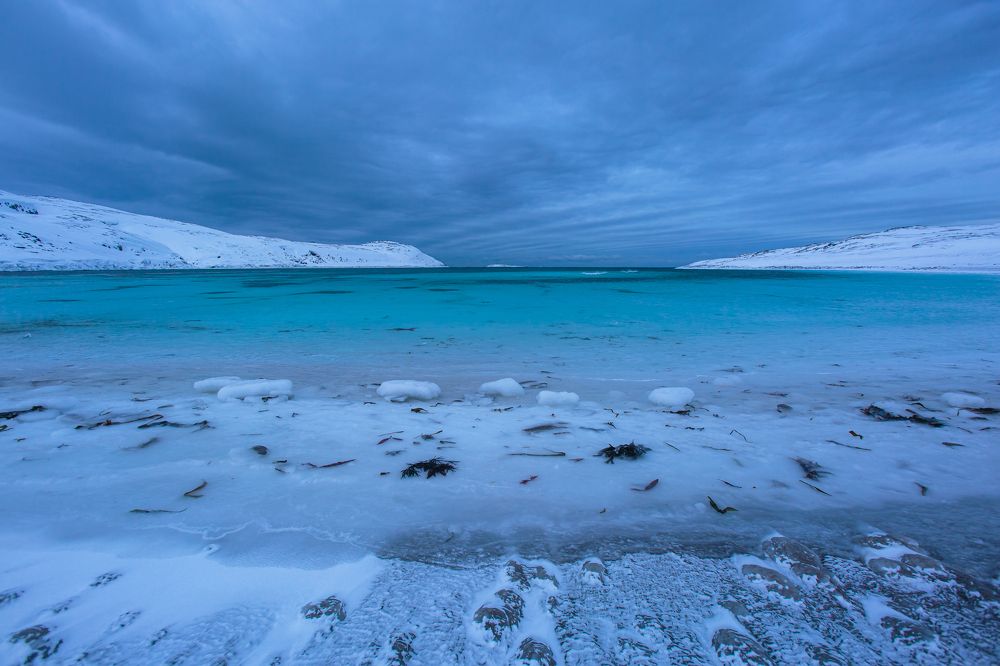 Ледяной мир. Баренцево море