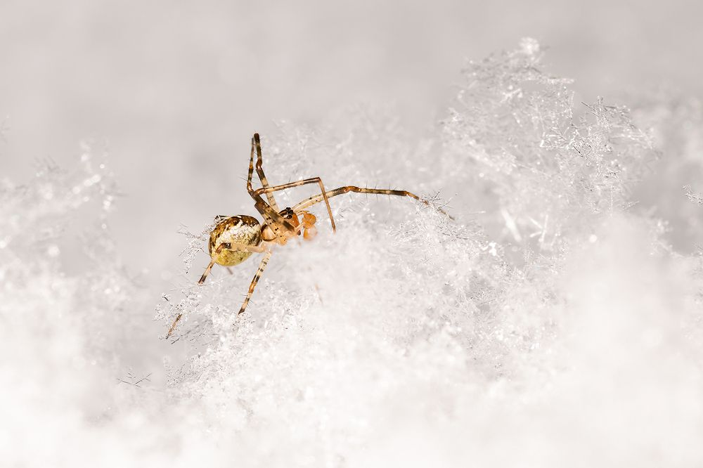 Photograph by Александр Абросимов