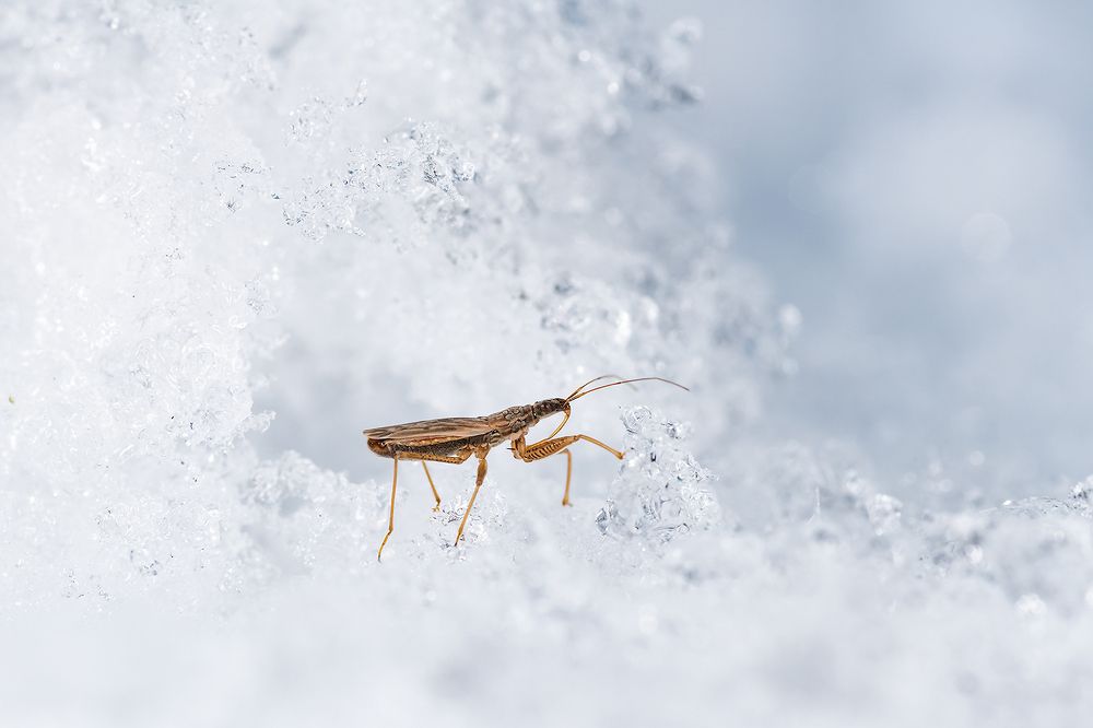 Photograph by Александр Абросимов