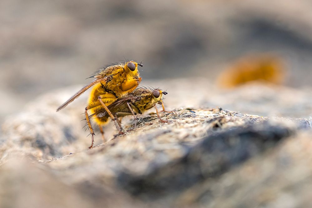 Photograph by Александр Абросимов