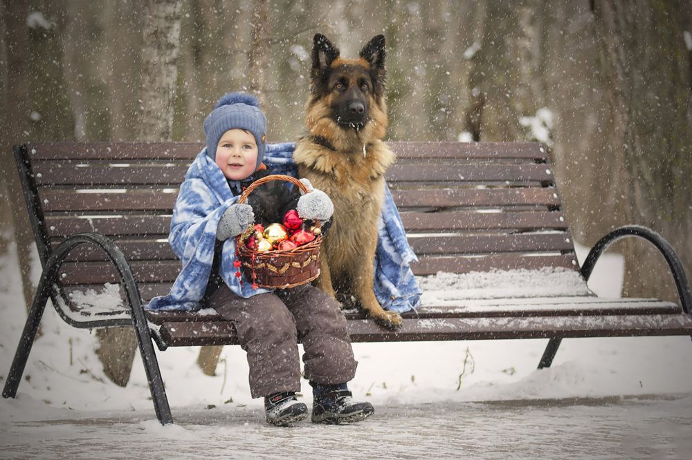 Photograph by Волгина Елена