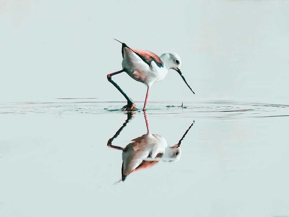 Photograph by Gotcha Biniashvili