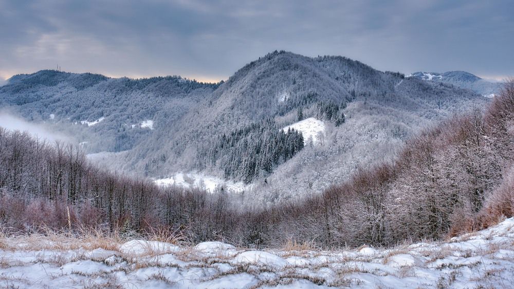 Photograph by Александр