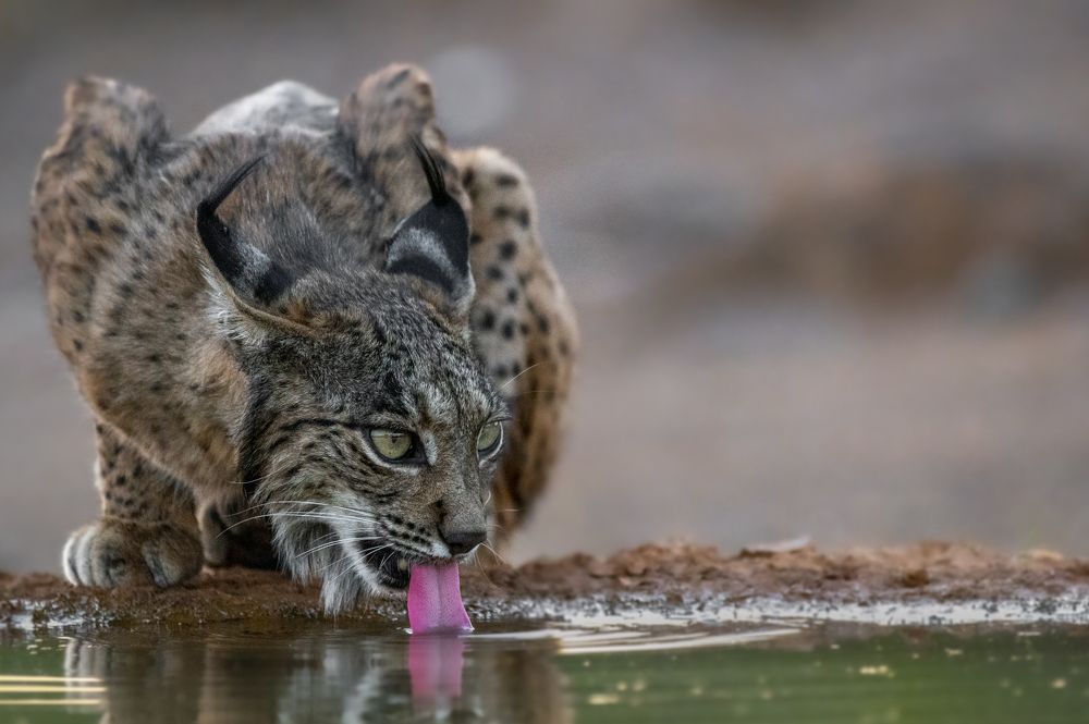 Photograph by Ricardo Núñez Montero