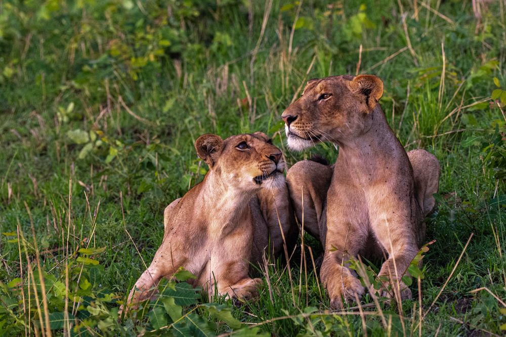 Photograph by Ricardo Núñez Montero