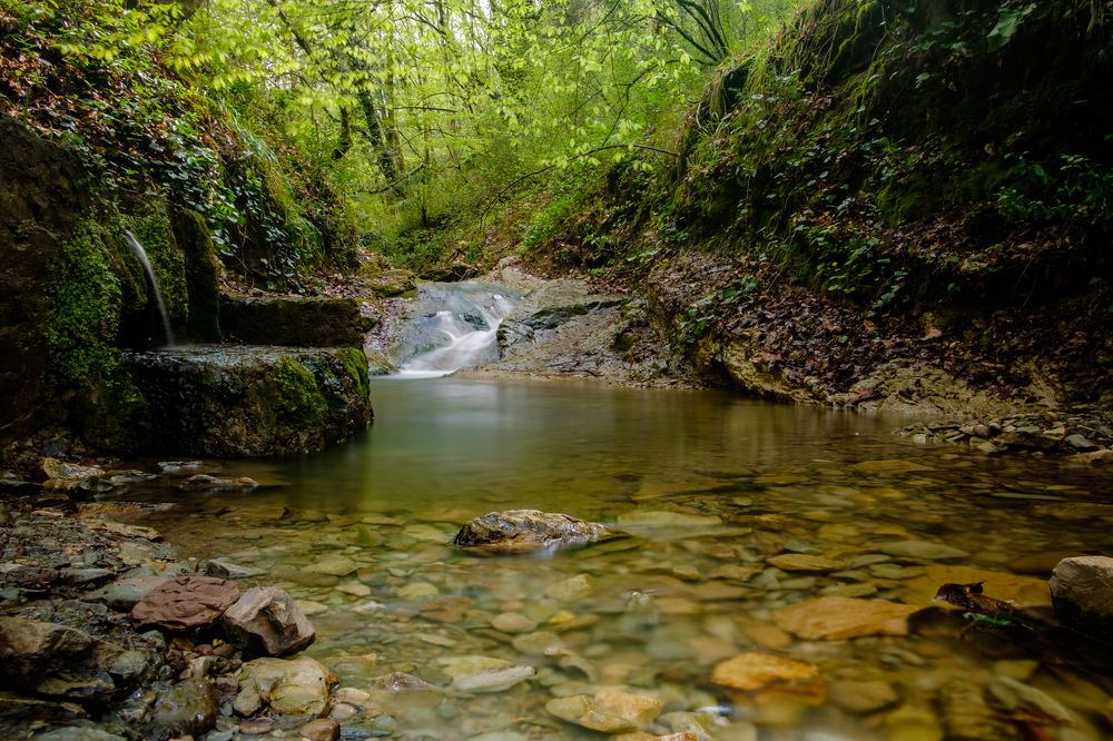 Photograph by Павел Синегубов