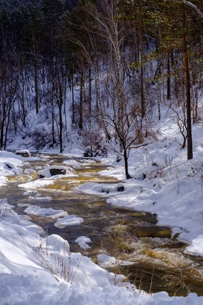 Photograph by Павел Синегубов