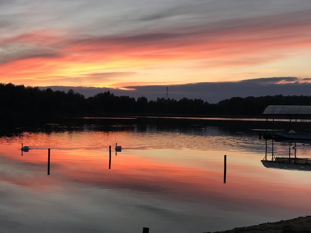 Photograph by Виктория Потапова