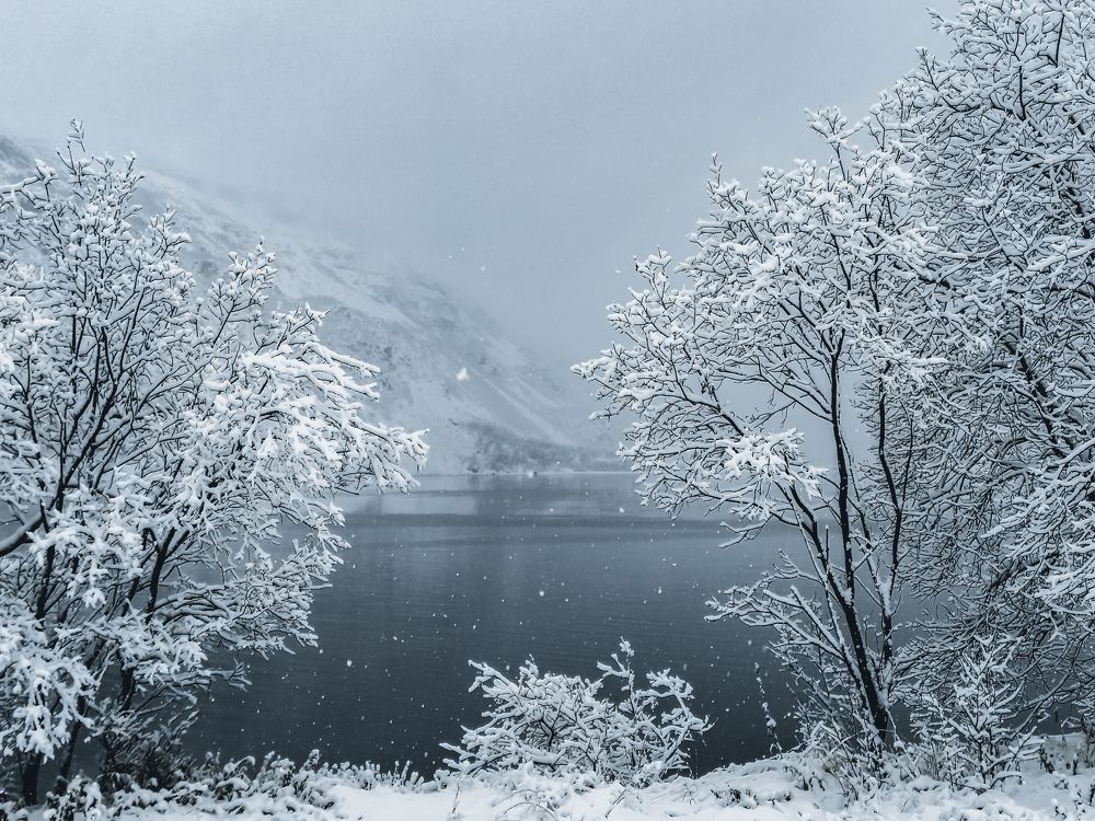 Photograph by Галина Андреева