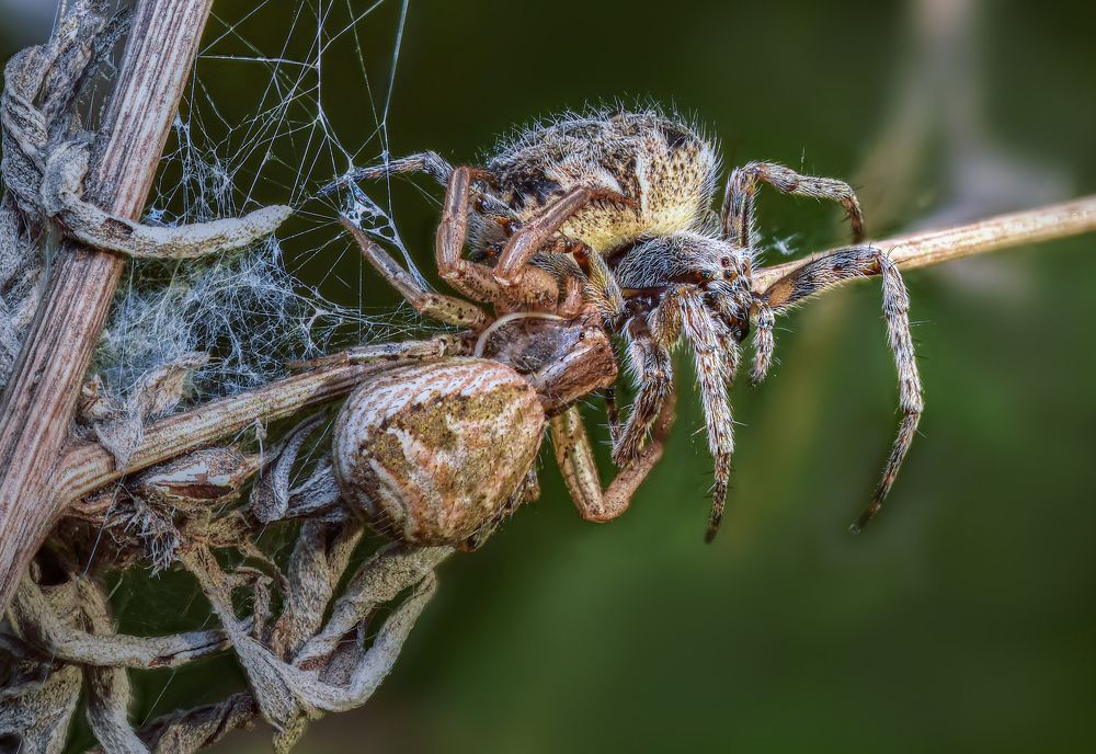 Photograph by Андрей Зимин