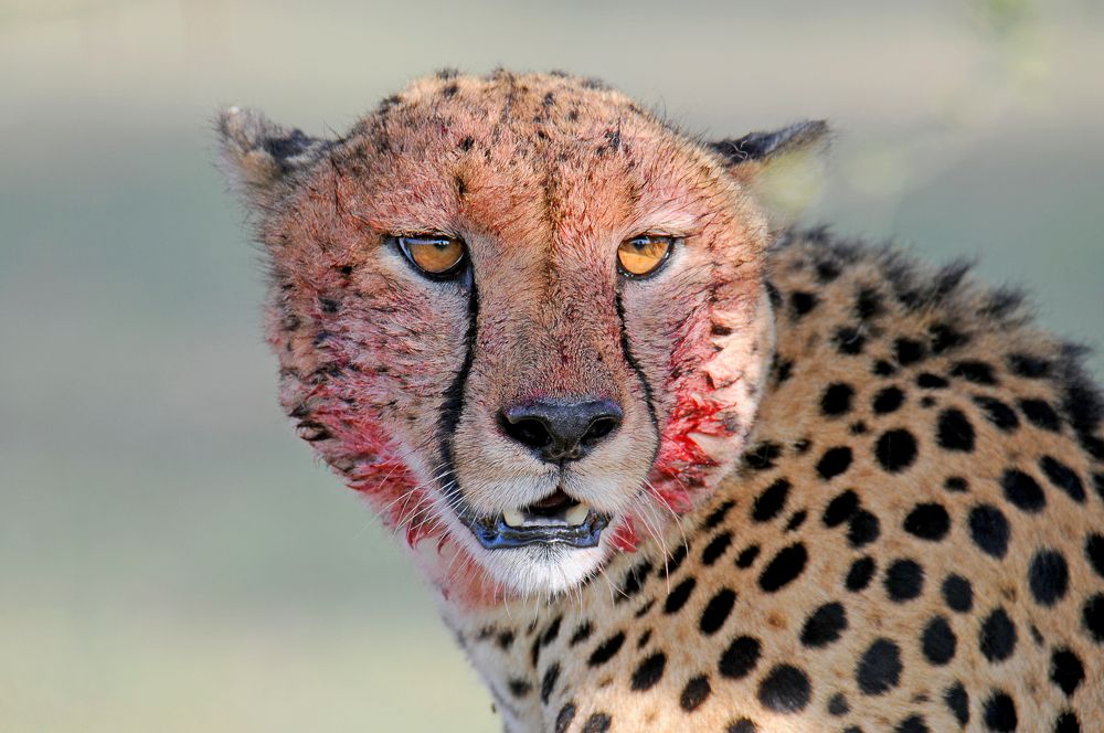 Photograph by Yuwaraj Gurjar