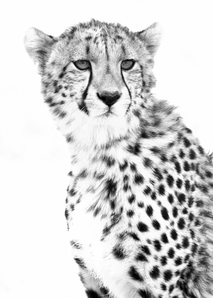 Photograph by Yuwaraj Gurjar