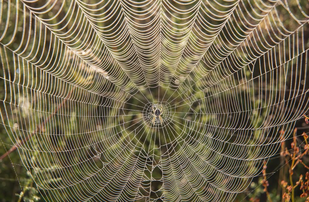 Ажурная работа