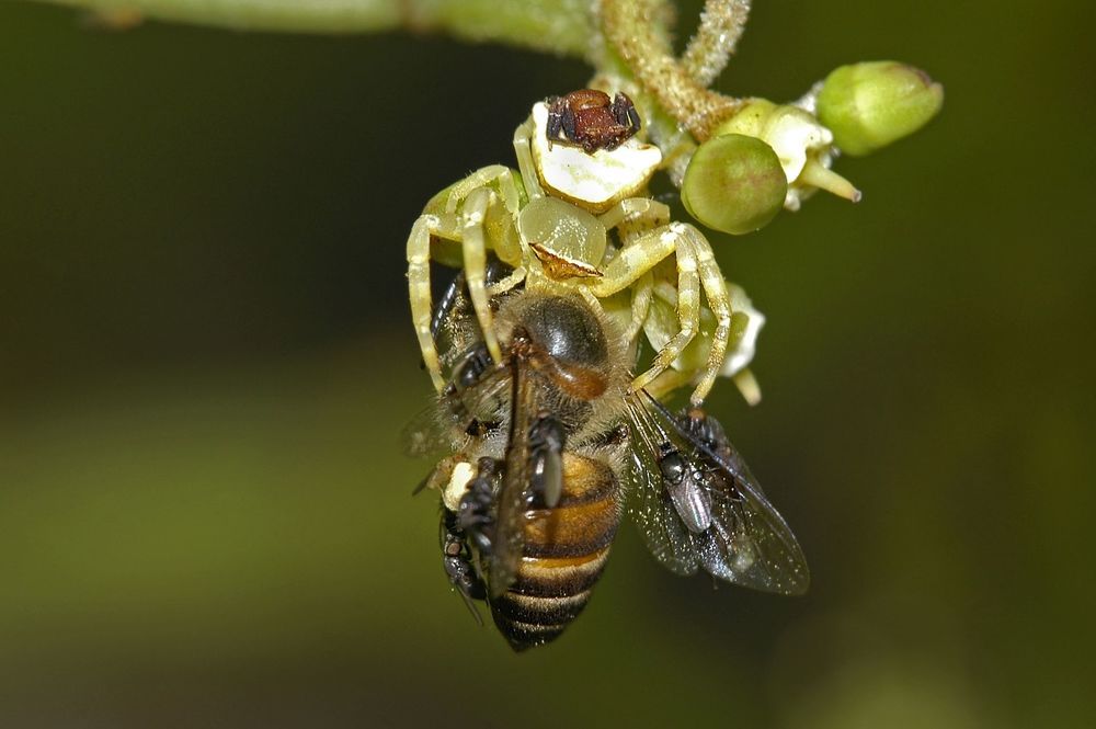 Photograph by Yuwaraj Gurjar