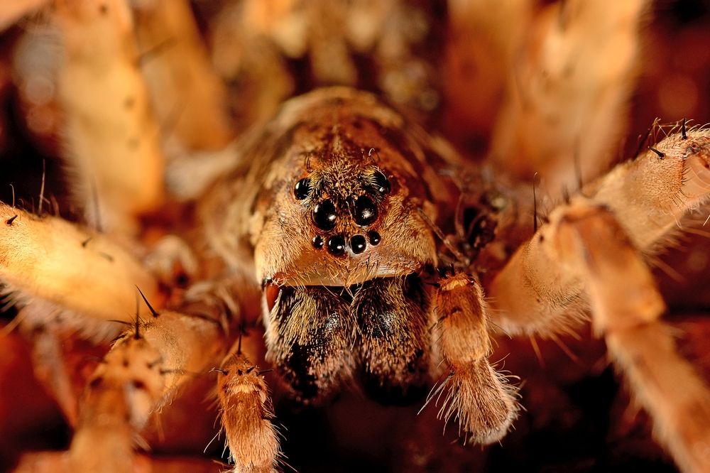 Photograph by Yuwaraj Gurjar