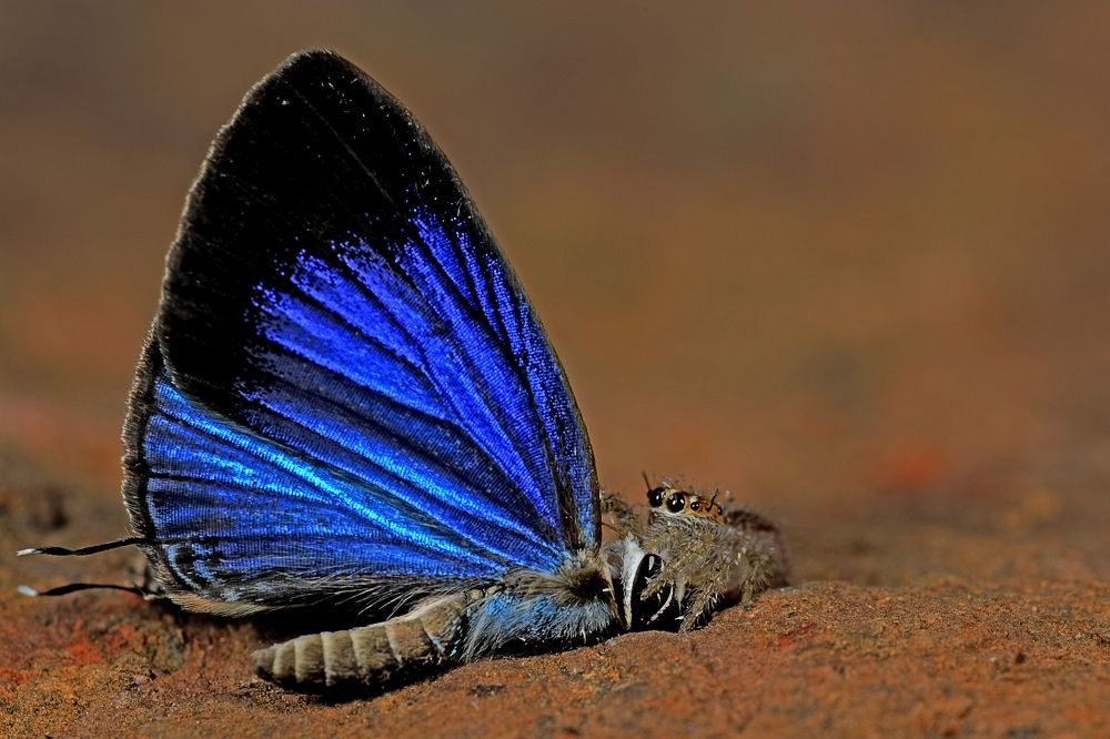 Photograph by Yuwaraj Gurjar