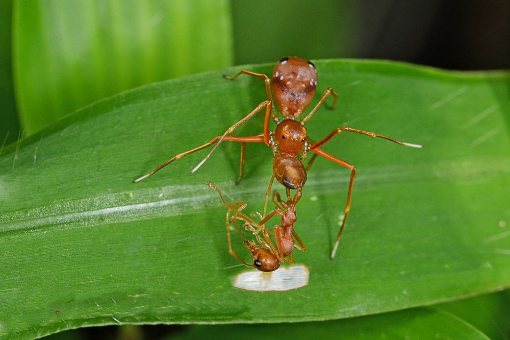 Photograph by Yuwaraj Gurjar