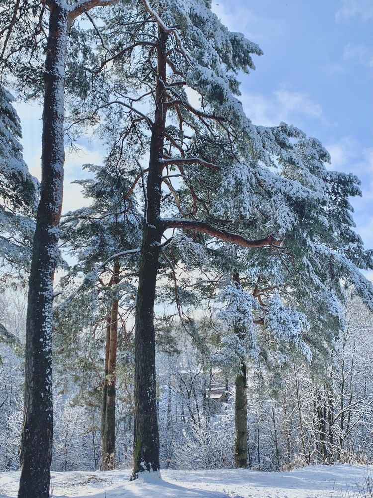 Фотография автора Ольга Забрянская