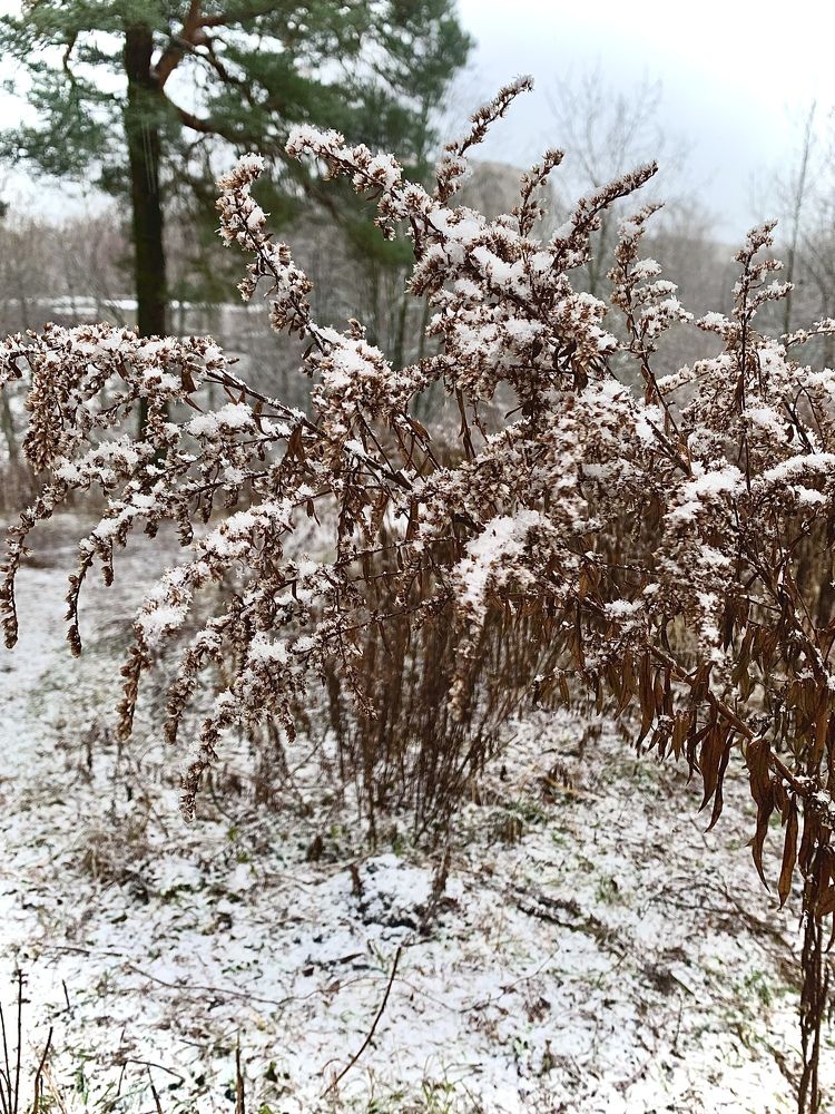 Фотография автора Ольга Забрянская
