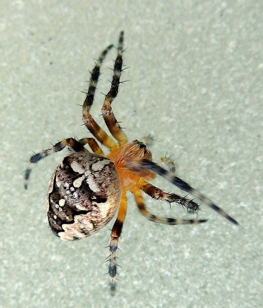 Photograph by Савоцкий Роман