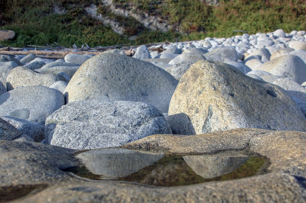 Не хороши и не плохи, разнятся в чем-то, в чем-то схожи. схожи.