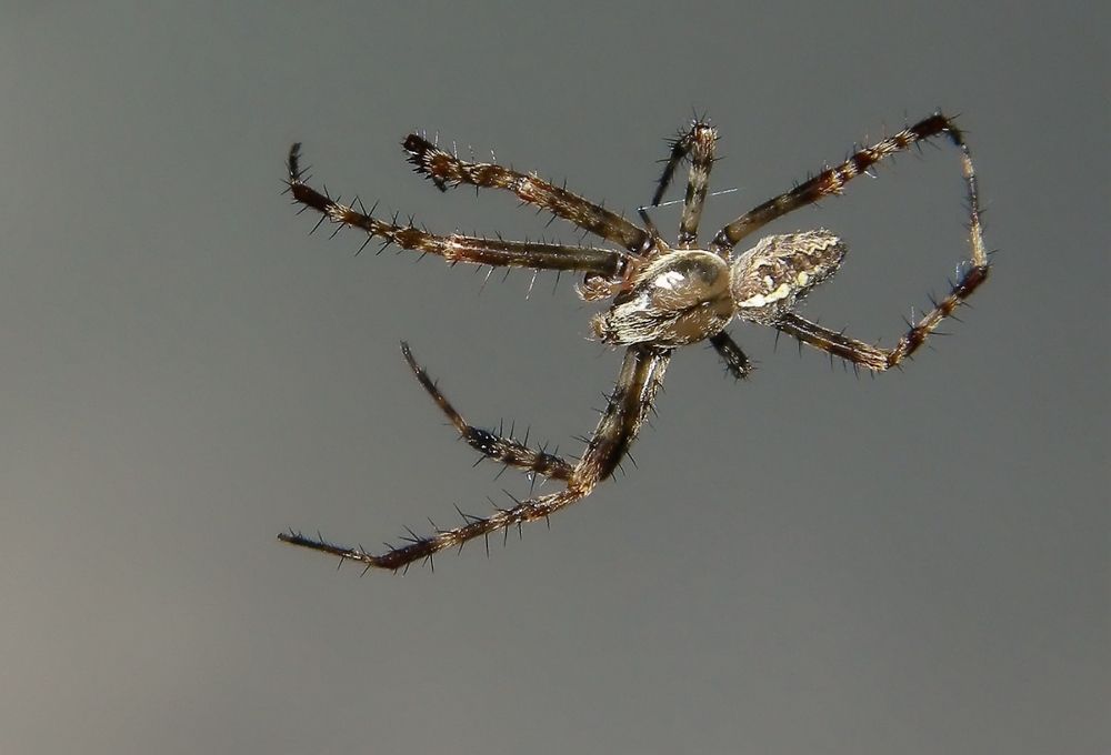 Фотография автора Роман Савоцкий
