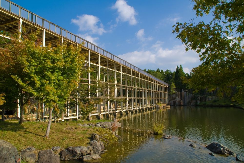 Photograph by mypure heart