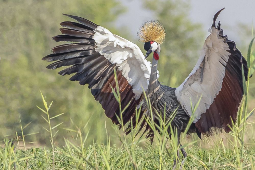 Фотография автора MOHAMED ISMAIL