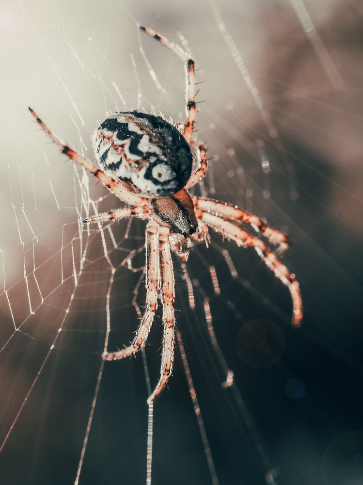 Photograph by Yuliia Nazarova