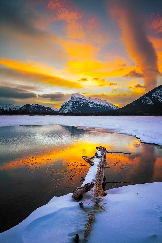 Photograph by Cuong Huynh