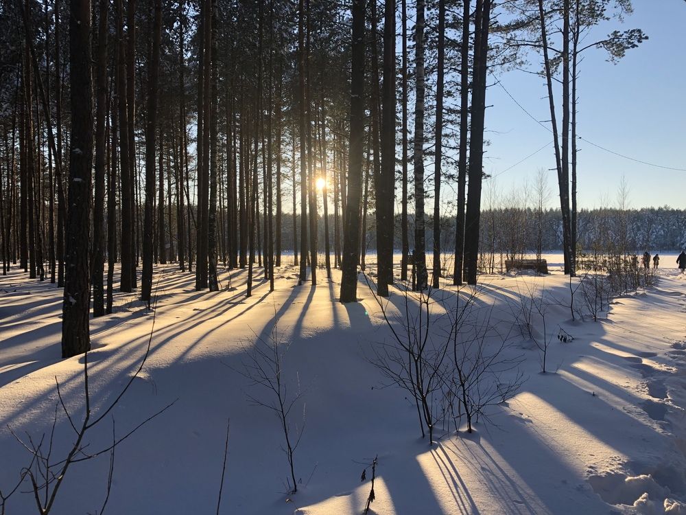 Photograph by Мария Бессмертная