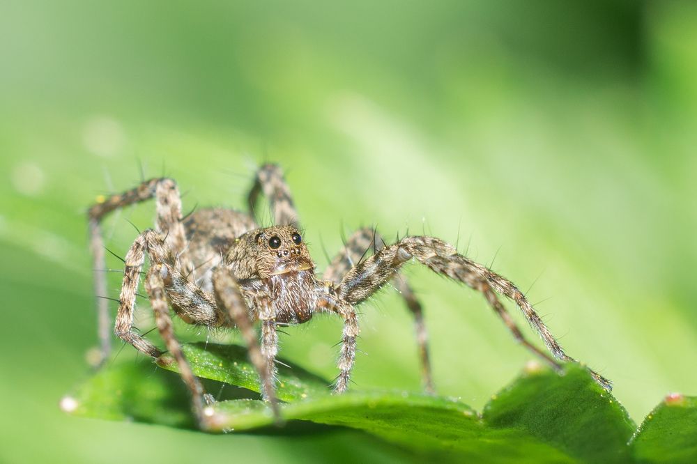 Photograph by Дина Горбачёва