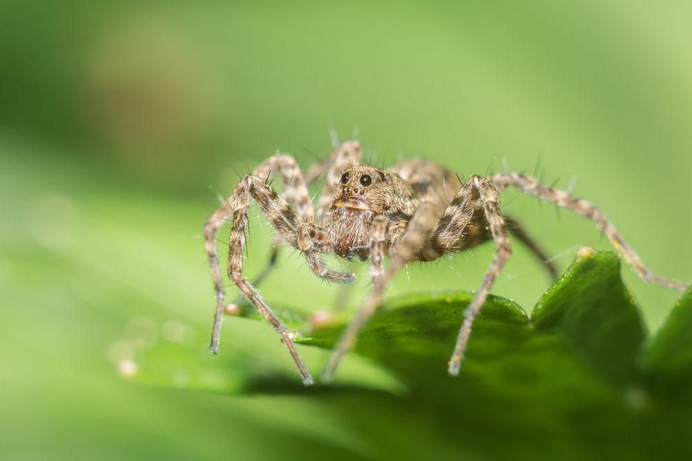 Photograph by Дина Горбачёва