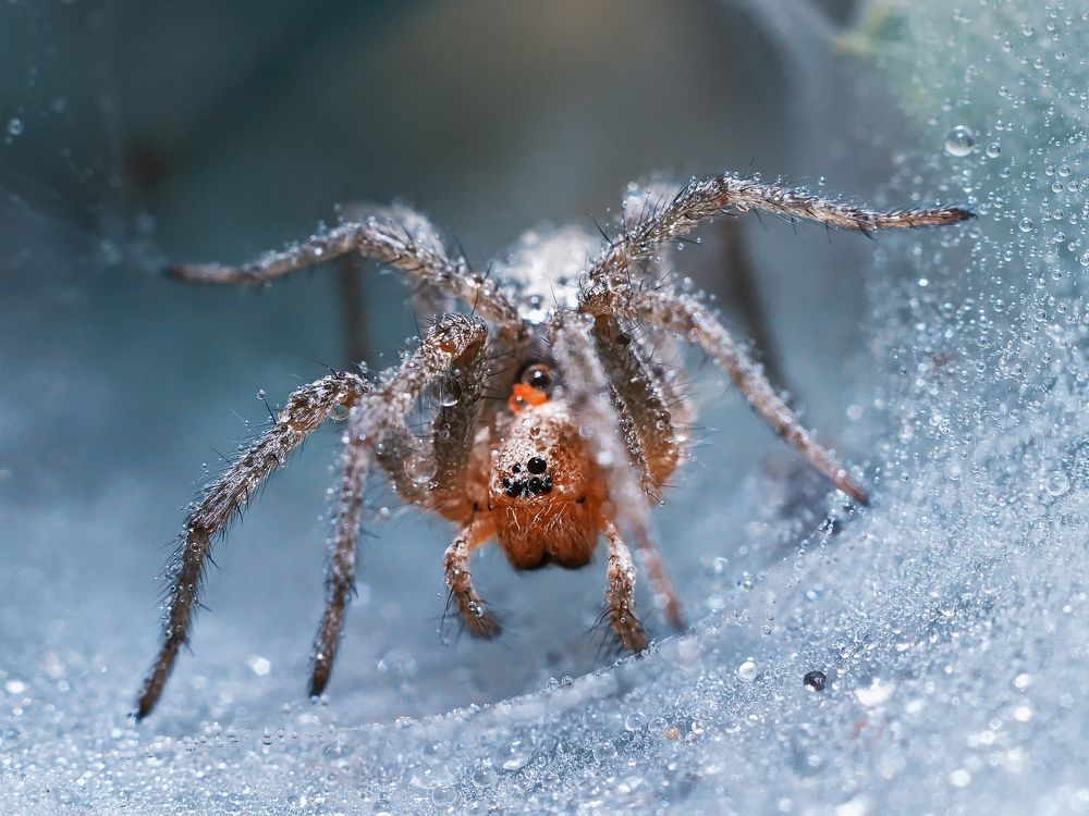 Photograph by Yuliia Nazarova