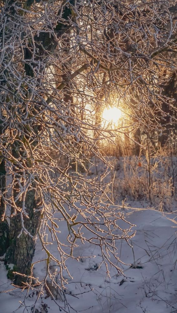 Photograph by Елена Пасажицкая