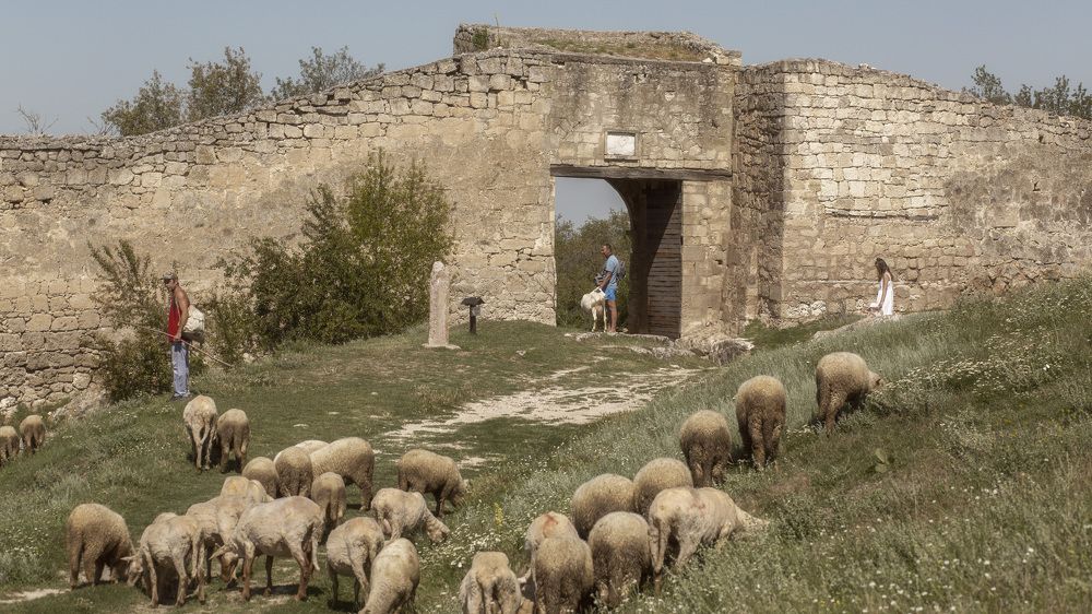 Photograph by Наталья Мартынова