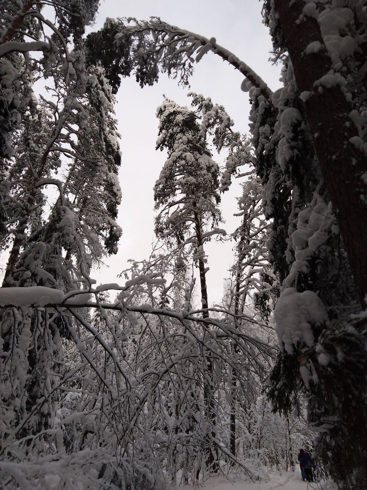 Photograph by Елена Малкова