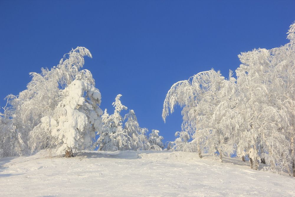 Photograph by Ирина Харлова