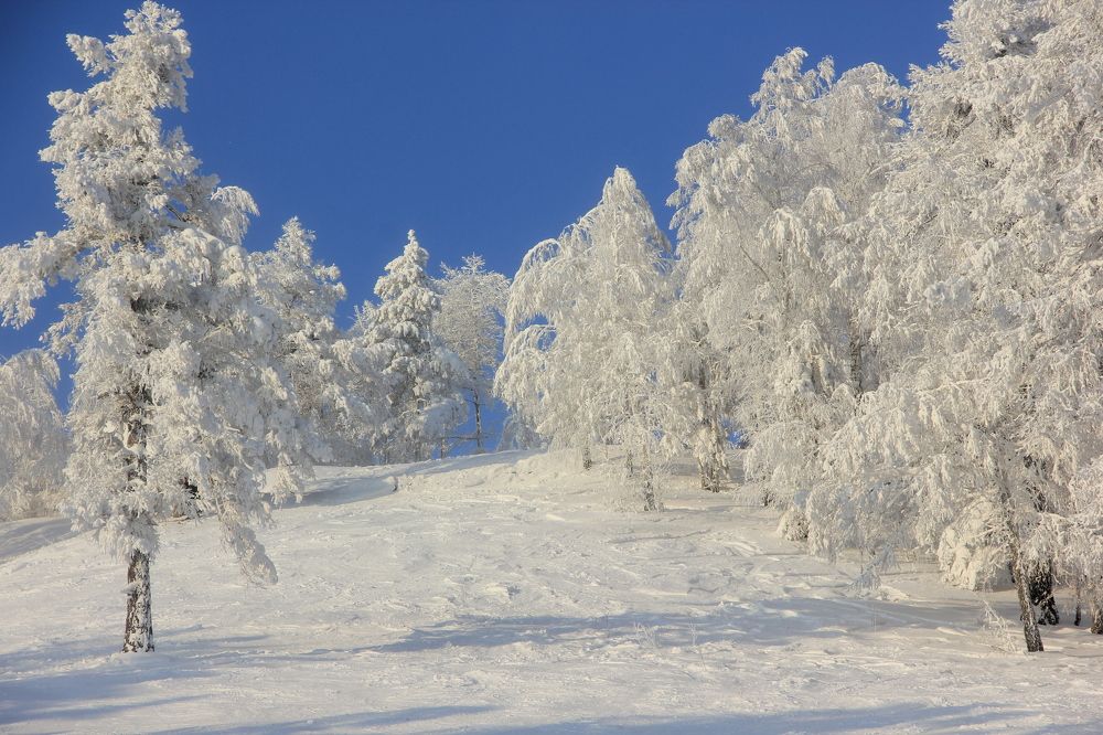 Photograph by Ирина Харлова