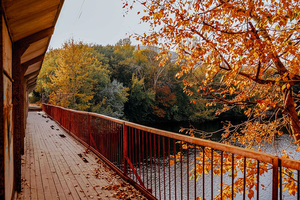 Photograph by Нелли Дзюба