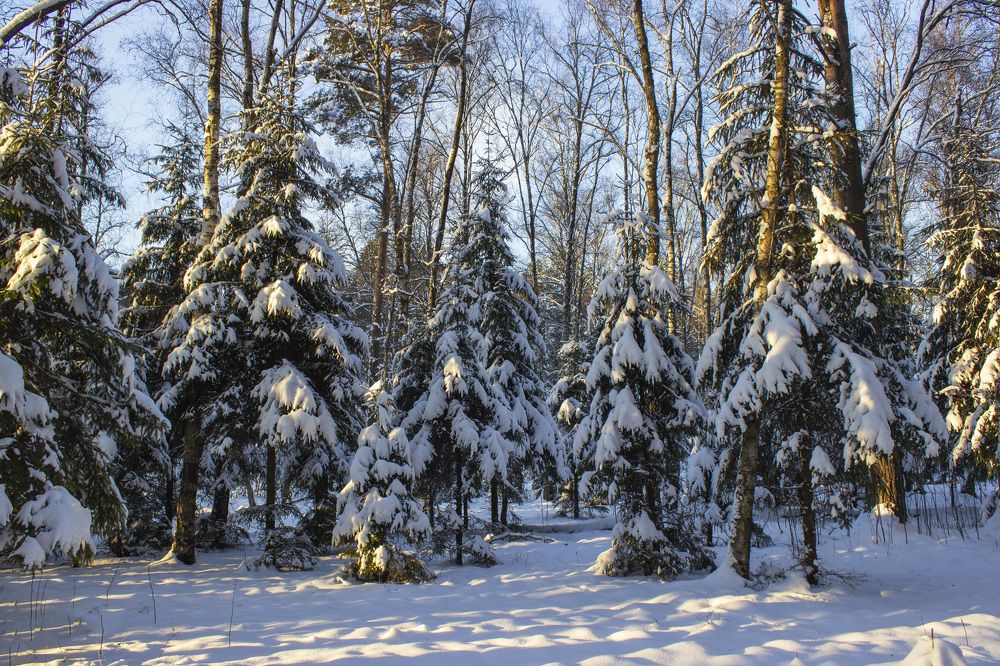 Photograph by  Vladimir